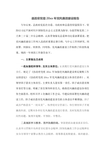 县政府党组20XX年党风廉政建设报告
