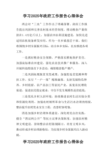 学习2025年《中央政府工作报告》心得体会汇集6份