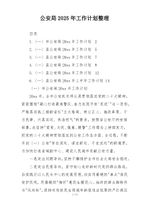 公安局2025年工作计划整理