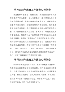 学习2025年《中央政府工作报告》心得体会（7篇）
