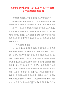 乡镇党委书记2025年民主生活会五个方面对照检查材料