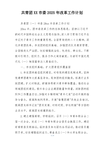 共青团XX市委2025年改革工作计划