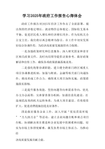 学习2025年《中央政府工作报告》心得体会（汇总7篇）