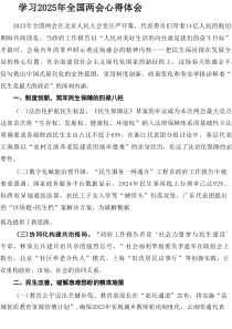 学习2025年《全国两会会议精神》个人心得体会 (9篇资料)