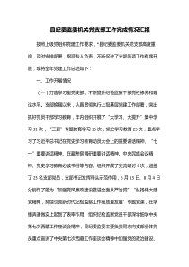 县纪委监委机关党支部工作完成情况汇报