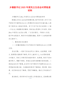 乡镇副书记2025年度民主生活会对照检查材料