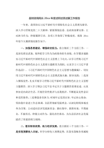 县财政局局长20XX年度述职述责述廉工作报告