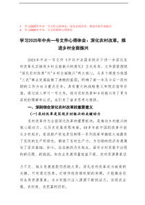 学习2025年中央一号文件心得体会：深化农村改革，推进乡村全面振兴+学习2025年中央一号文件精神心