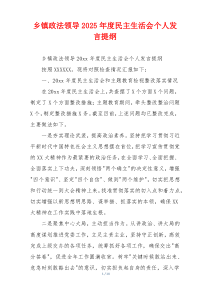 乡镇政法领导2025年度民主生活会个人发言提纲