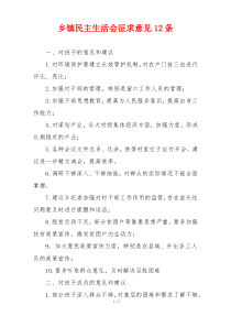 乡镇民主生活会征求意见12条