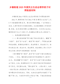 乡镇街道2025年度民主生活会领导班子对照检查材料