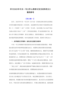 学习2025年中央一号文件心得研讨发言材料范文2篇范例
