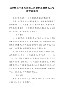 局党组关于落实县第X巡察组反馈意见的整改方案详情