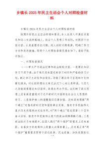 乡镇长2025年民主生活会个人对照检查材料