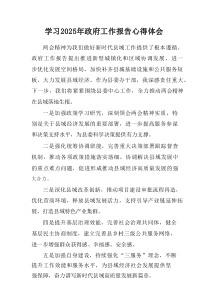 学习2025年中央政府工作报告个人心得体会