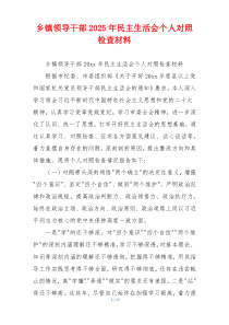 乡镇领导干部2025年民主生活会个人对照检查材料