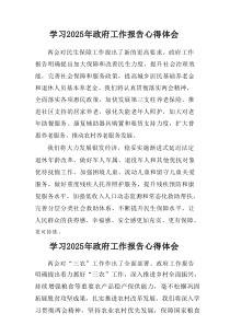 学习2025年中央政府工作报告个人心得体会合计4份