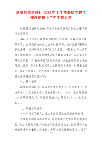 勐腊县供销联社2025年上半年基层党建工作总结暨下半年工作计划