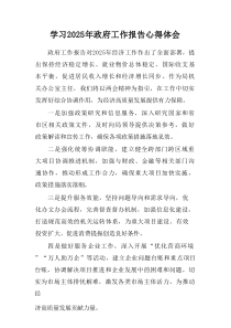 学习2025年中央政府工作报告个人心得体会汇集6份
