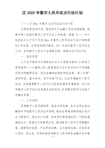 区2025年数字人民币试点行动计划