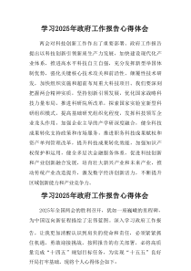 学习2025年中央政府工作报告个人心得体会（合计5篇）