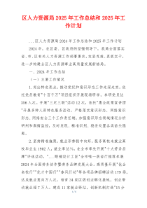 区人力资源局2025年工作总结和2025年工作计划