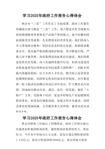 学习2025年中央政府工作报告个人心得体会（汇总7篇）