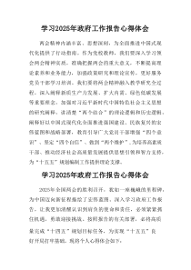 学习2025年中央政府工作报告心得体会汇集5份