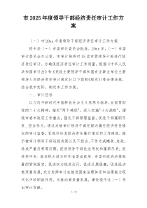 市2025年度领导干部经济责任审计工作方案