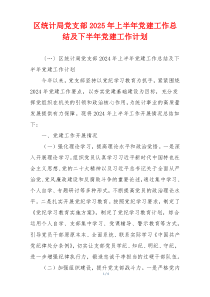 区统计局党支部2025年上半年党建工作总结及下半年党建工作计划