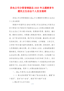 供电公司分管营销副总2025年主题教育专题民主生活会个人发言提纲