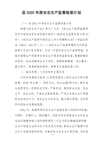 县2025年度安全生产监督检查计划