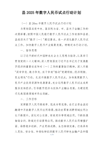县2025年数字人民币试点行动计划