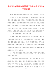 县2025年网络宣传管理工作总结及2025年工作计划