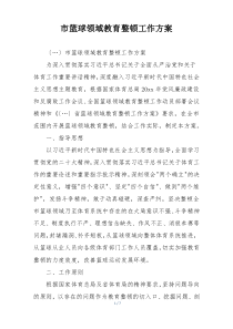 市篮球领域教育整顿工作方案