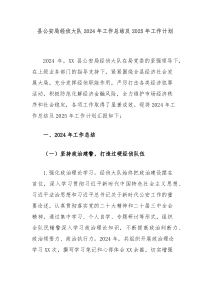 县公安局经侦大队2024年工作总结及2025年工作计划