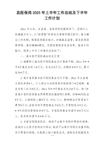 县医保局2025年上半年工作总结及下半年工作计划