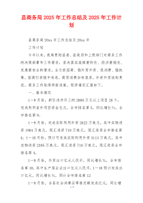 县商务局2025年工作总结及2025年工作计划