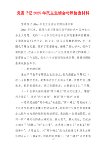 党委书记2025年民主生活会对照检查材料