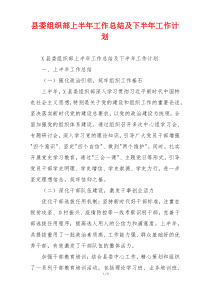 县委组织部上半年工作总结及下半年工作计划