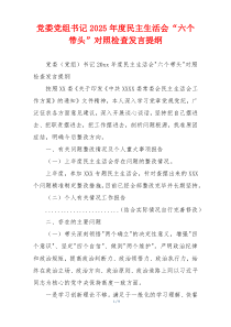 党委党组书记2025年度民主生活会“六个带头”对照检查发言提纲