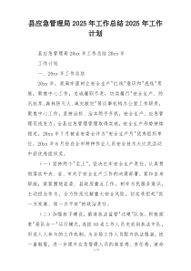 县应急管理局2025年工作总结2025年工作计划