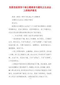 党委党组领导干部主题教育专题民主生活会上的批评意见