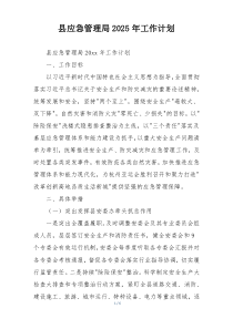 县应急管理局2025年工作计划
