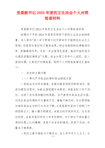 党委副书记2025年度民主生活会个人对照检查材料