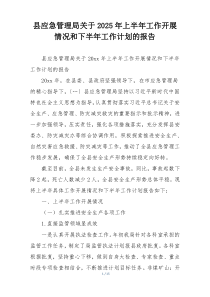 县应急管理局关于2025年上半年工作开展情况和下半年工作计划的报告