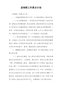 县残联工作要点计划