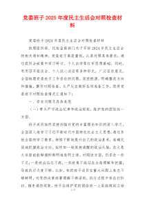 党委班子2025年度民主生活会对照检查材料