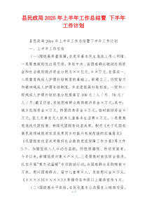 县民政局2025年上半年工作总结暨 下半年工作计划