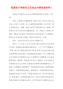 党委班子考核民主生活会对照检查材料1